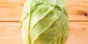 a Grade Fresh Green Cabbage
