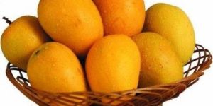 Natural Fresh Hapus Mango