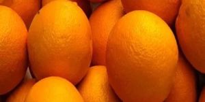 A Grade Fresh Nagpur Orange