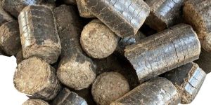 Burning Sawdust Briquettes