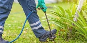 Eco Friendly Pest Control Services