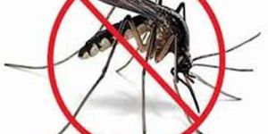 Mosquito Pest Control Services