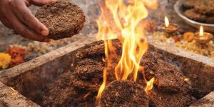 Cow Dung Cake