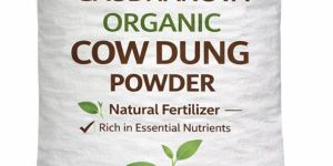 Cow Dung Powder
