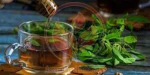Tulsi Ginger Green Tea