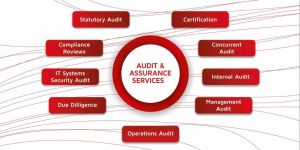 Internal Audit Service