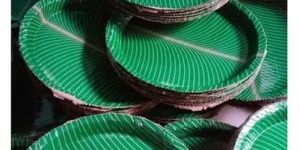 12 Inch Disposable Buffet Paper Plates