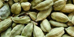 Elaichi Seeds
