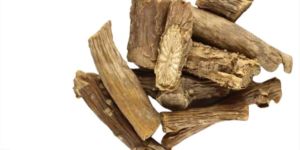 Dried Giloy Stem