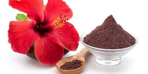DRIED HIBISCUS FLOWER POWDER