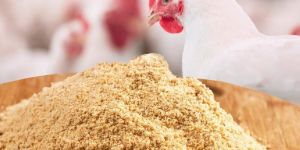 10% Broiler Concentrate Finisher