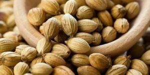 Coriander Seeds