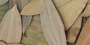 Dried Bay Leaves