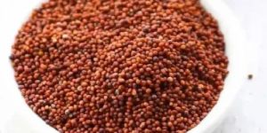 Red Mustard Seeds