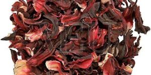 Hibiscus Flower TBC