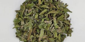 Mint Leaves TBC