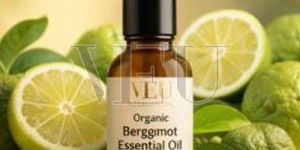 Organic Bergamot Essential Oil