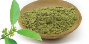 Organic Gurmar Powder