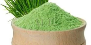 Wheat Grass TBC