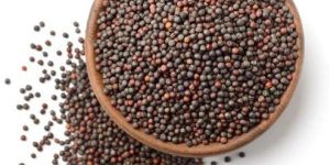 Black Mustard Seed