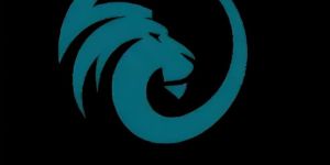 Digital Marketing Services