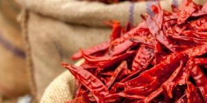 Dried Red Chili Pepper