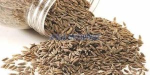 Organic Cumin Seeds