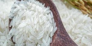 Pusa Raw Basmati Rice