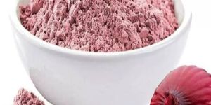 Dehydrated Premium Pink Onion Powder