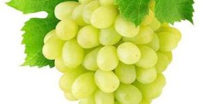 Fresh Green Grapes