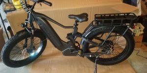 Wired Warrior Electric Bike