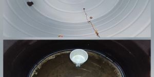 Commercial Water Tank Cleaning Services