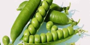 a Grade Green Peas