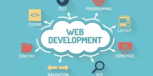 Website Development Services