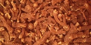 Anantmool Root