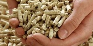 6mm Biomass Pellet