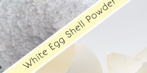 White Egg Shell Powder