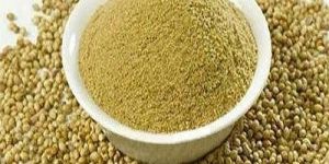 Green Coriander Powder
