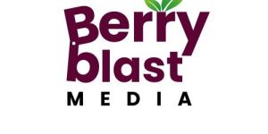 berry blast media digital marketing agency