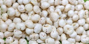 4 Suta Raw Makhana
