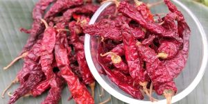Byadgi Dry Red Chilli