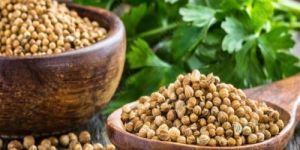 A Grade Coriander Seed