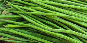 Natural Fresh Drumstick
