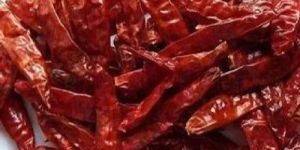 Guntur Dry Red Chilli