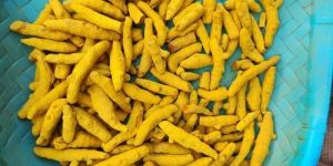 Nizamabad Turmeric Finger