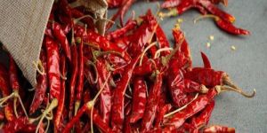 Teja Dry Red Chilli