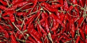 Sannam Dry Red Chilli