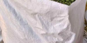 Moringa Dried Leaves