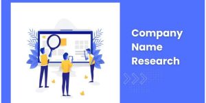 company name research service
