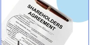 shareholders agreements drafting services